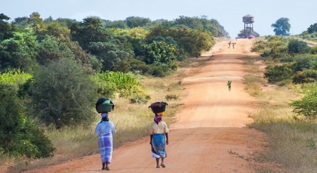 África, un continente resistente