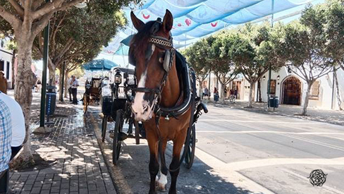 Un paseo por la feria en coche de caballos